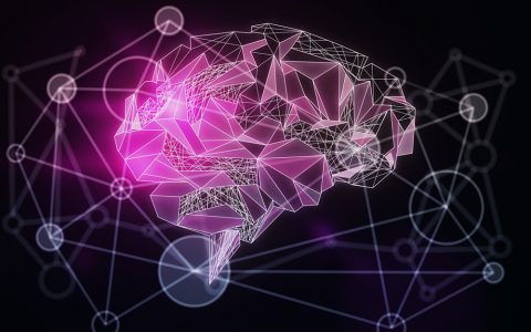 Neuroplasticity:  Debunking the ‘Hardwired’ Myth